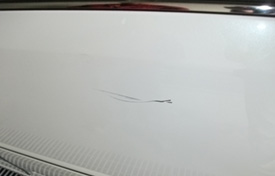 タッチアップ（筆塗り）