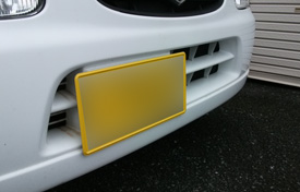 バンパー虫取り